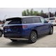 Denza N9 DM, 2025, пробіг 1,2 тисячі км
